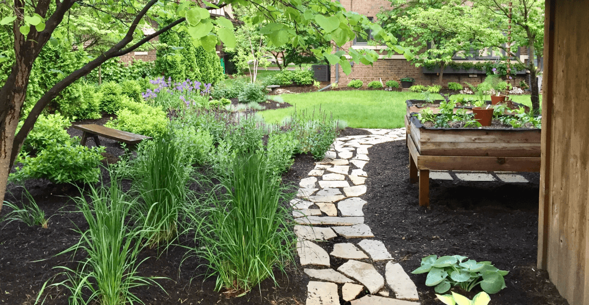 flagstone-walk-through-an-urban-garden-2025-1