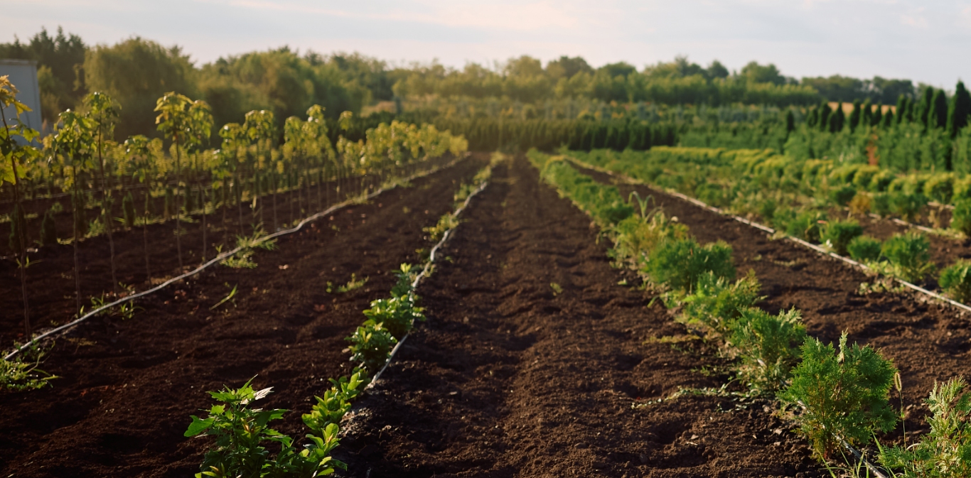 west-coast-soil-works-hero-image