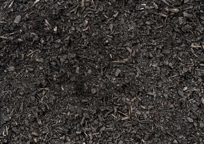 Composted Fir Humus