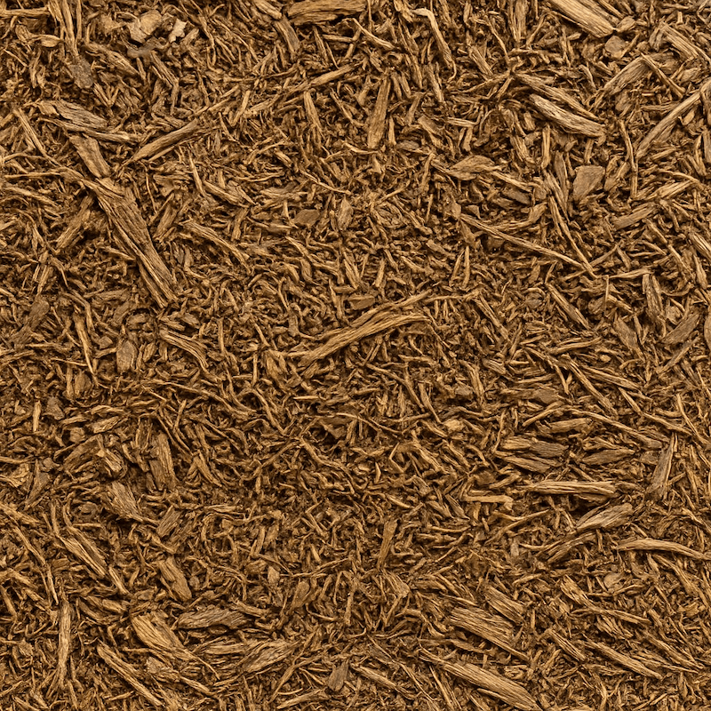 Forest Floor