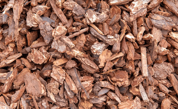 Large Bark