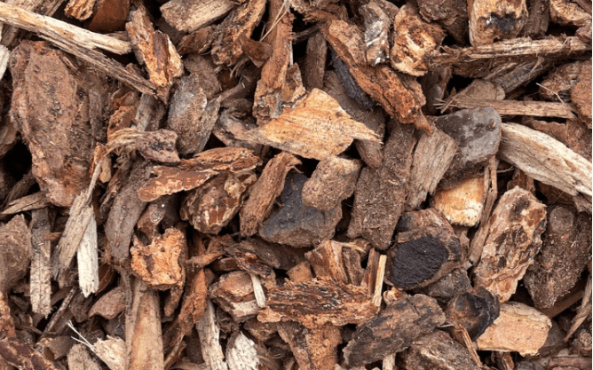 Medium Bark