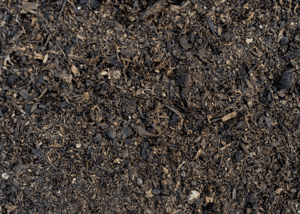 Box Tree Mix