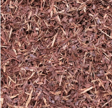 Walk On Bark – Premium