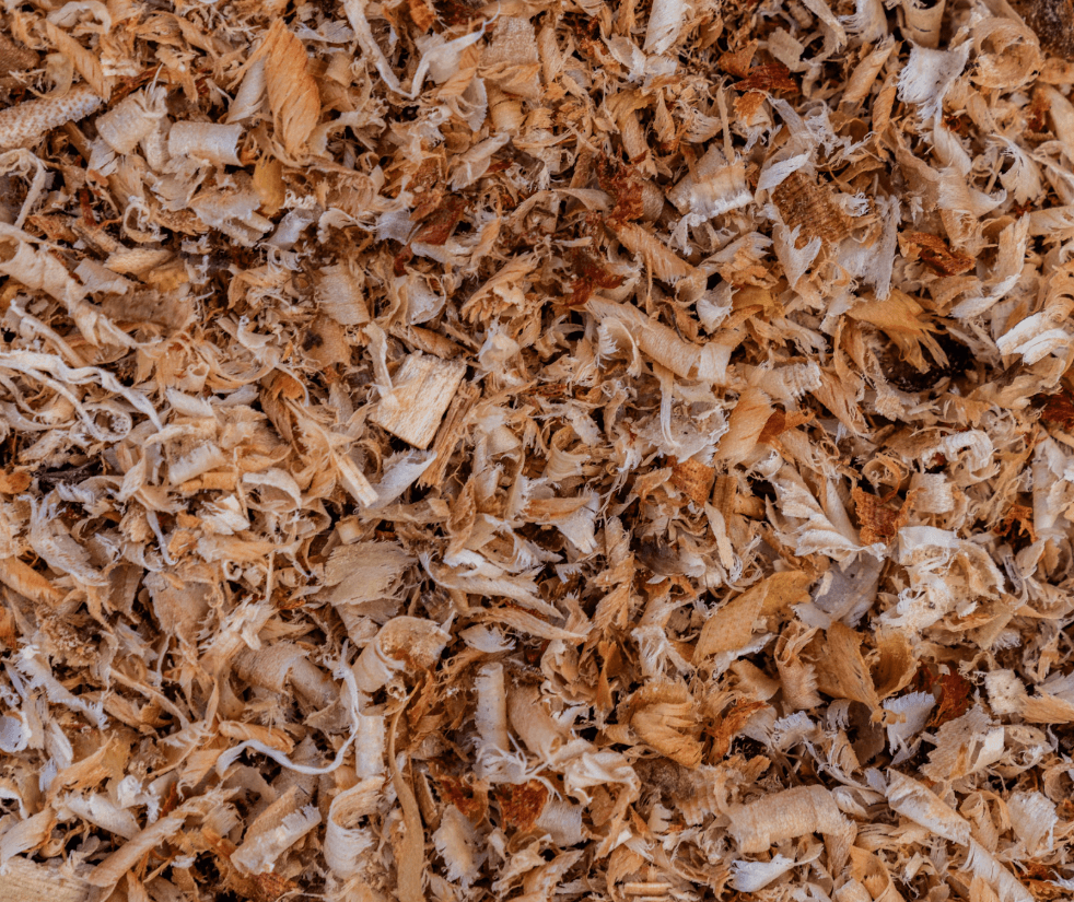 Redwood Shavings