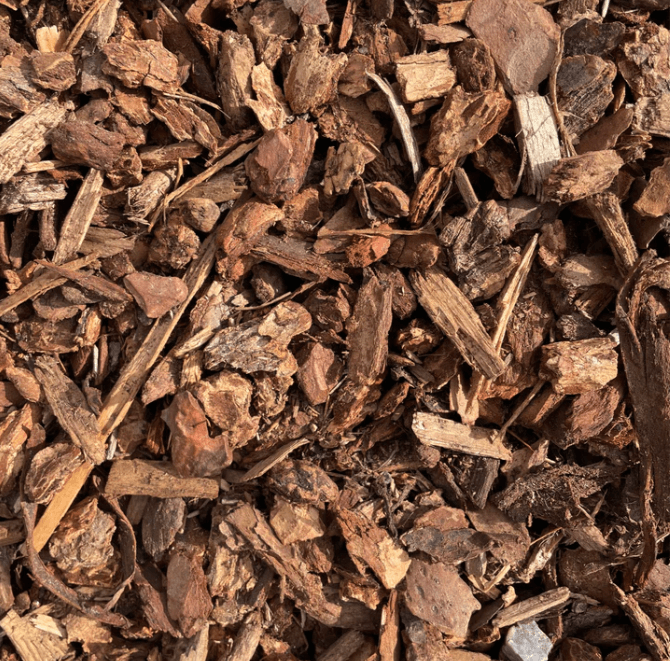 Walk On Bark – Standard
